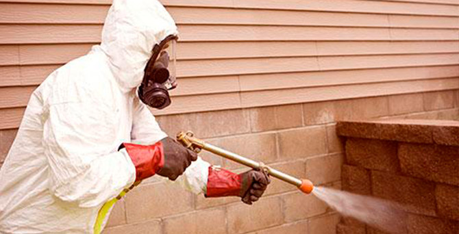 DIBA Pest Control & Management